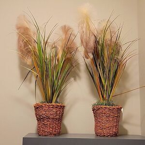 Decorate greens in basket 2 pieces